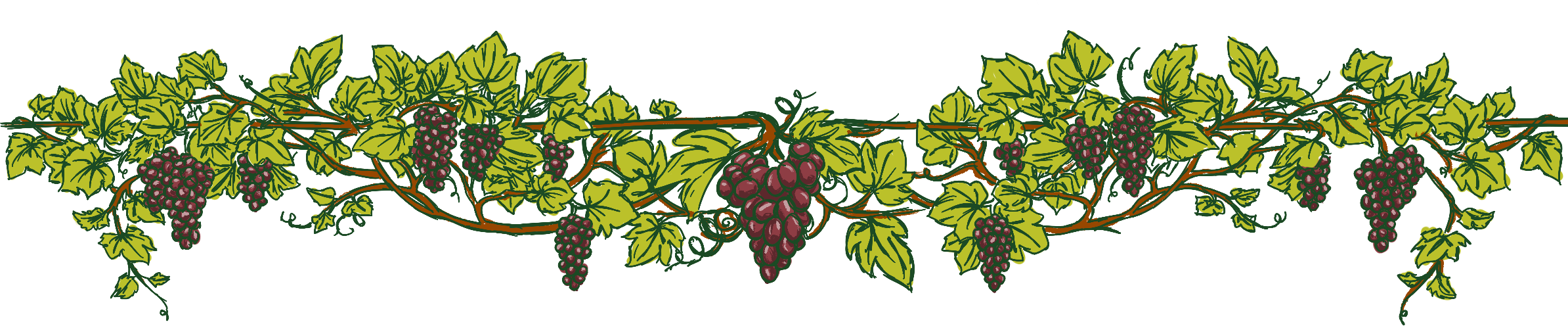 Handdrawn grapevine graphic